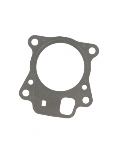 Cilindro galvos tarpinė Briggs &...