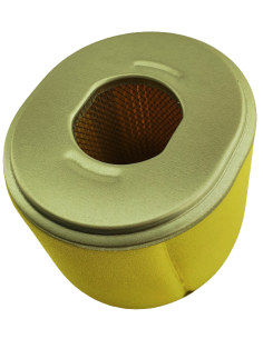 Oro filtras Honda varikliams