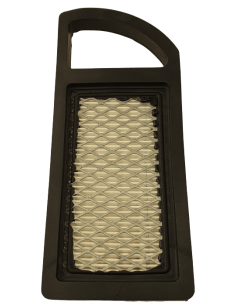 Oro filtras B/S varikliams