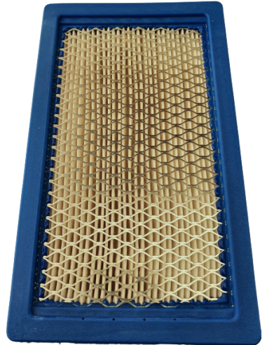 Oro filtras Kawasaki varikliams