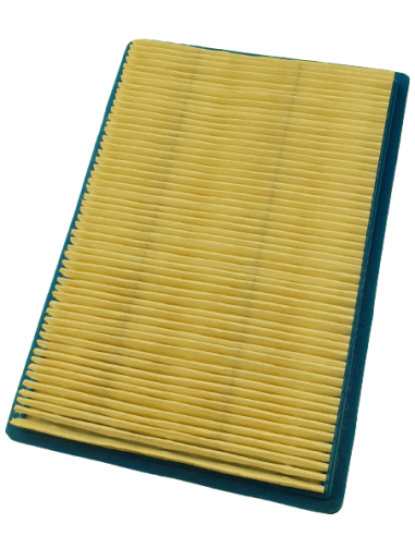 Oro filtras B/S varikliams