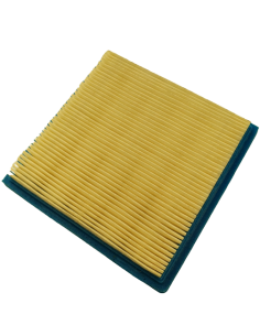 Oro filtras B/S varikliams