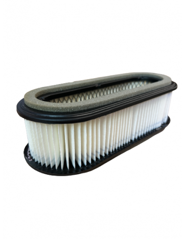 Oro filtras Kawasaki varikliams