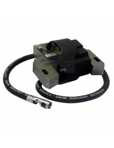 Uždegimo ritė Briggs &...