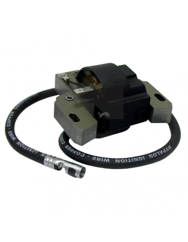 Uždegimo ritė Briggs & Stratton...