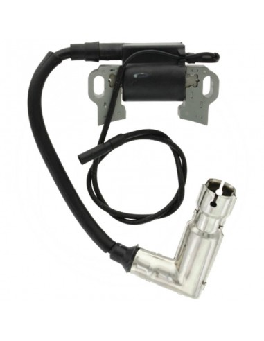 Užvedimo ritė Loncin varikliams