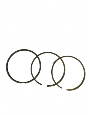 Žiedų kompl. Briggs & Stratton 493261