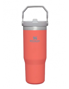 Gertuvė „Stanley Classic...