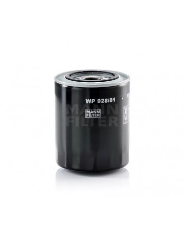 Tepalo filtras WP 928/81