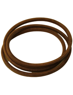 Diržas AA profilis Snapper