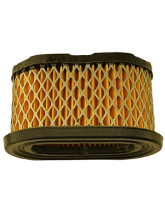 Oro filtras B/S varikliams